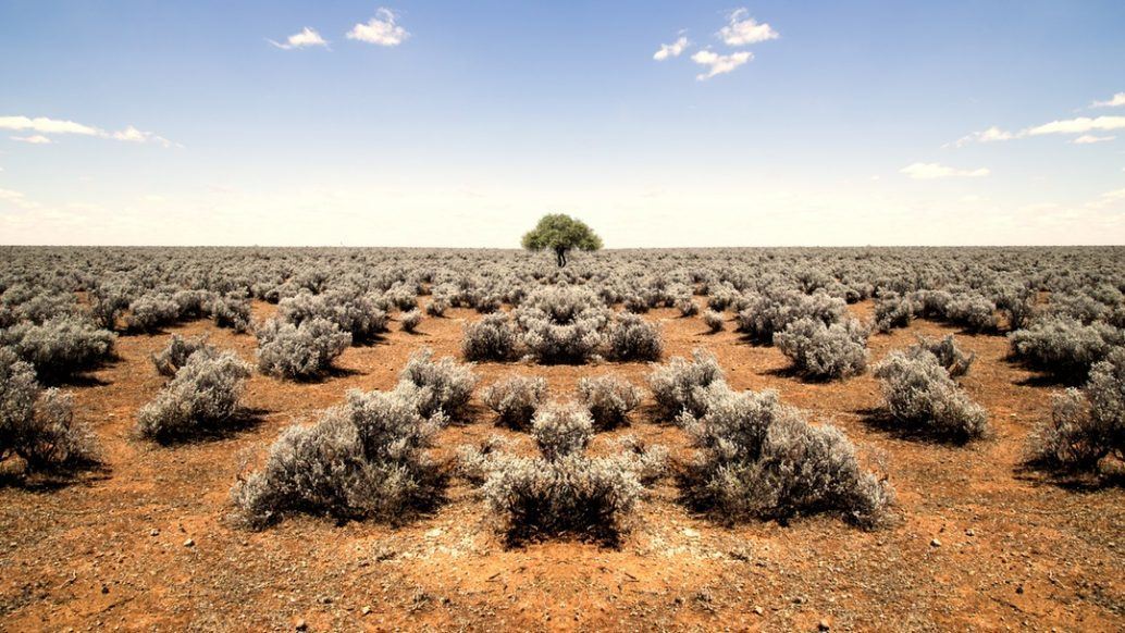 test-desert test de personnalité - révélez votre personalité profonde et vos traits de caractères
