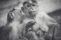 importance-relations-sociales L'importance des relations sociales pour son bonheur et pour être plus épanoui dans sa vie.