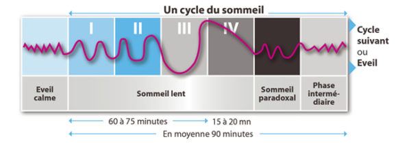 Comment Bien Dormir Le Guide Ultime Du Sommeil comment-bien-dormir-le-guide-ultime-du-sommeil